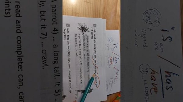 Разница is/ have, has / can