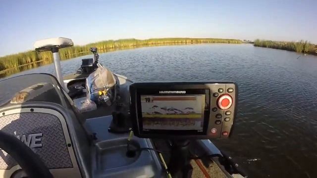 HUMMINBIRD HELIX 5 SI GPS COMBO - summertime bluegill fishing смотреть онлайн