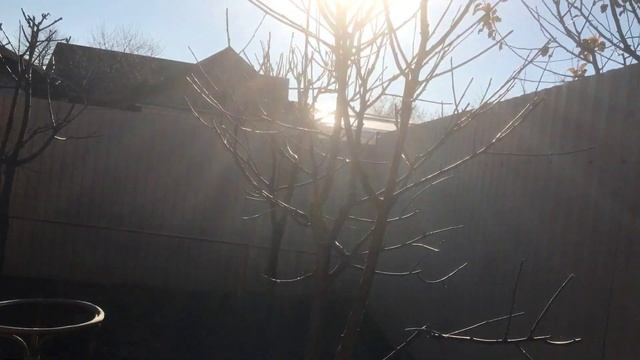 Обалденная погода в Краснодарском крае !