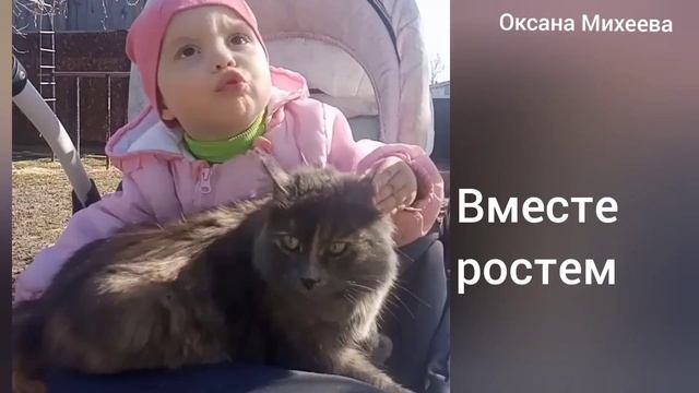 УСПЕЛИ ! -30 🥶 спасли котят )) смотреть онлайн