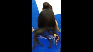 Оксана Самойлова  #ИнстаСтори (7 - декабря 2018)