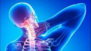 Коррекция костной системы матрица Петра Гаряева