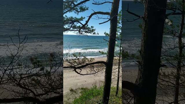 Латвия. Ужава/ Latvia.Užava #latvia #latvija #латвия #природа #balticsea