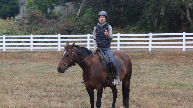 Riding A Horse Down Hills For Fitness