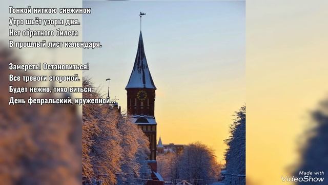 Завершение снежного февраля 2025 на берегах Преголи смотреть онлайн