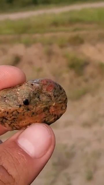 Rockhounding: UNAKITE смотреть онлайн