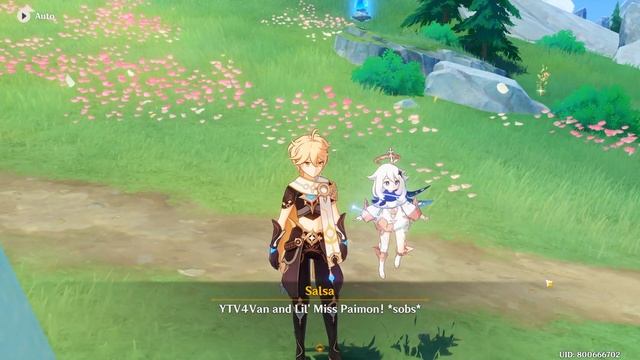 Salsa Viewpoint Quest Location | Genshin Impact