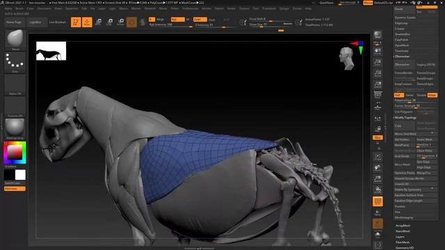 Lion Anatomy muscles create in zbrush - telugu CGI смотреть онлайн