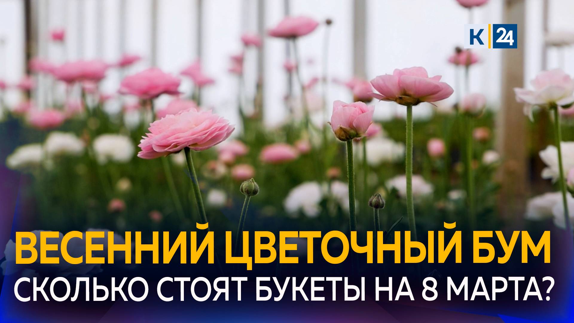 Цены на цветы снова резко вырастут к Международному женскому дню смотреть онлайн