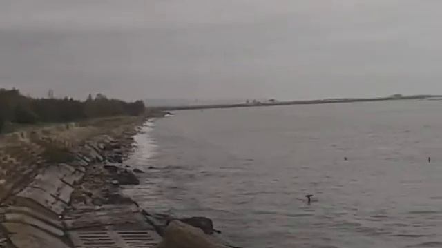 Azerbaijan Caspian Sea Wave ( Ecology Problem) смотреть онлайн