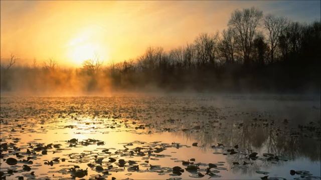 Basil O'Glue - Dropout (Wellenrausch Remix)