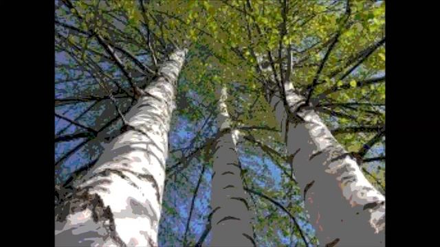 Шум берез смотреть онлайн