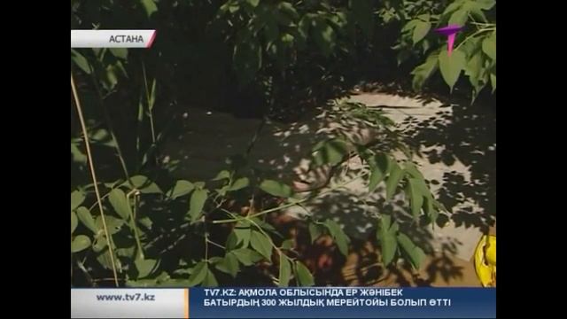 Астанада жетімдер үйінің тәрбиеленушісі үш жылдан бері қаңғып жүр смотреть онлайн