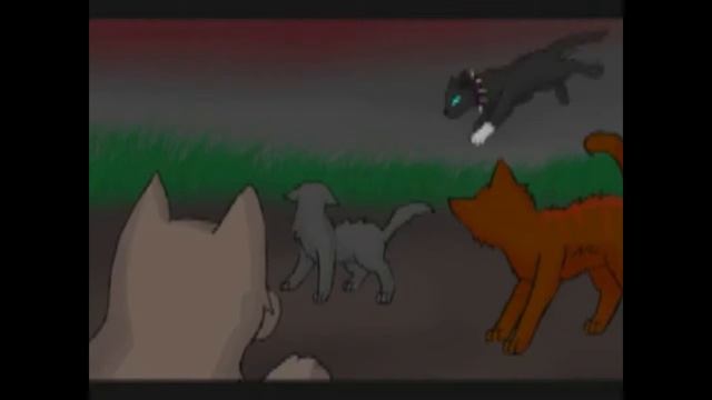 Warrior Cats.Scourge