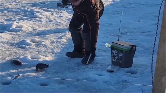 25-02-2025 смотреть онлайн