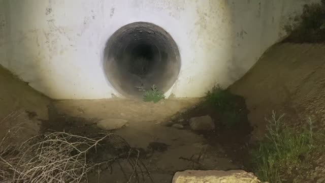 Утопленник  ЭГФ (мистика)