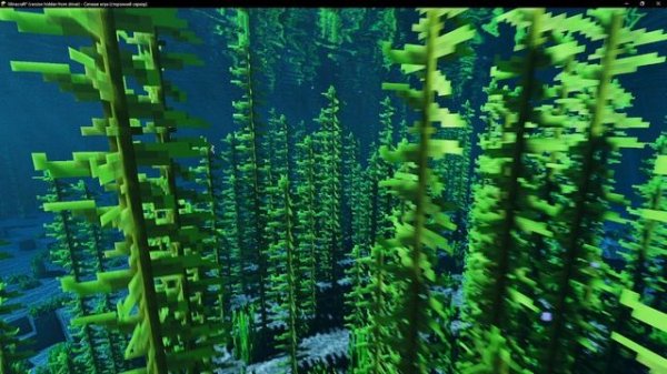 Minecraft Shaders. Underwater world