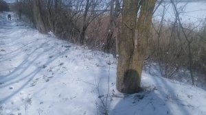 Пёс 2 сезон 8 серия