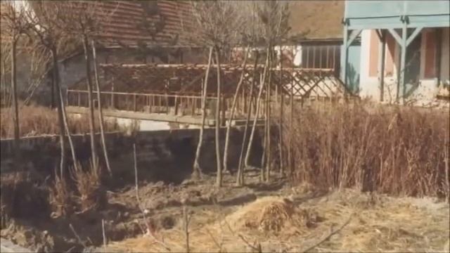живерни смотреть онлайн