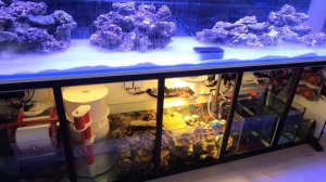 Аква скейп в 3х метровом морском аквариуме @shpak_aq