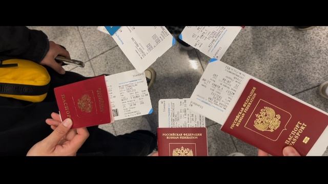 Практика DTS Египет 2023