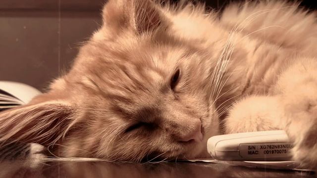 Волшебная музыка для сна и восстановления сил Музыка релакс смотреть онлайн