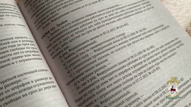 Под стражу заключен рецидивист, ограбивший магазин в Автозаводском районе смотреть онлайн