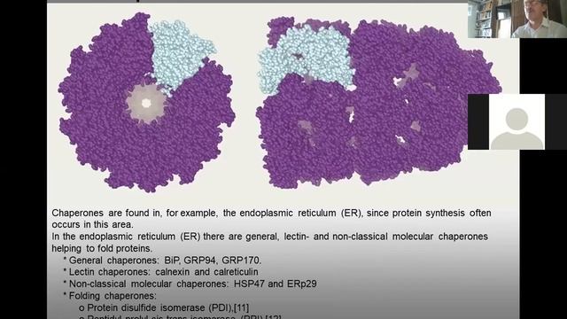 L7 2 protein structure enzymes смотреть онлайн