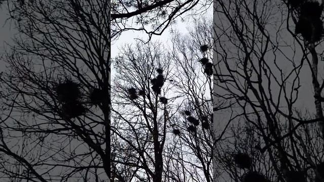 Грачи 🙂 смотреть онлайн