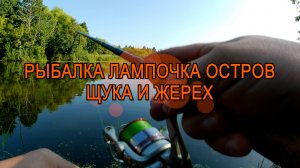 Ловля щуки жереха на спиннинг Ульяновск лампочка старица реки Свияга