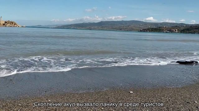 Все об акулах в Средиземном море у берегов Турции: какие водятся, опасны ли они