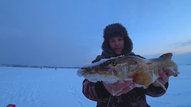 Зимняя рыбалка.Ловля щуки на жерлицы.Ловим судака на тюльку. смотреть онлайн