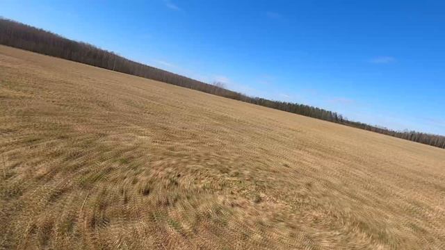 Трехчасовая прогулка 01.05.2020 смотреть онлайн