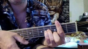 Константин Никольский "Птицы белые мои"разбор на гитаре