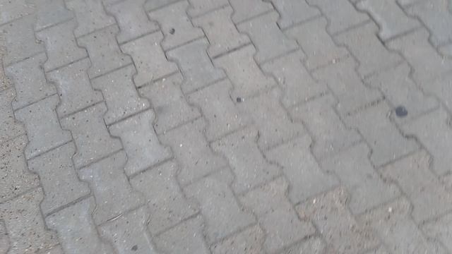 Артём на трюковом самокате смотреть онлайн