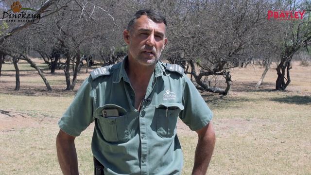 Pratley Quickset® Putty used in the efforts to protect rhinos смотреть онлайн