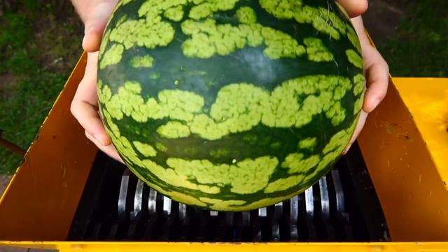 Арбуз огурцы капуста кабачки все выступили против безжалостного измельчителя смотреть онлайн