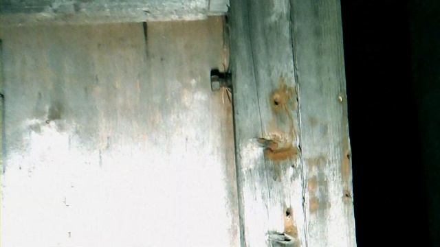 [Horror Theory #13] ХИЖИНА В ЛЕСУ | Здесь была перестрелка | Тут кто-то живет смотреть онлайн