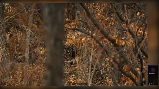 ЖИВАЯ ПРИРОДА смотреть онлайн