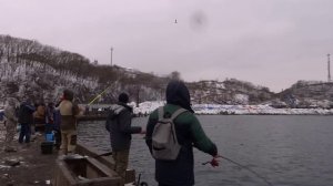 Ловля минтая 2024 .Находка Мыс Астафьева.