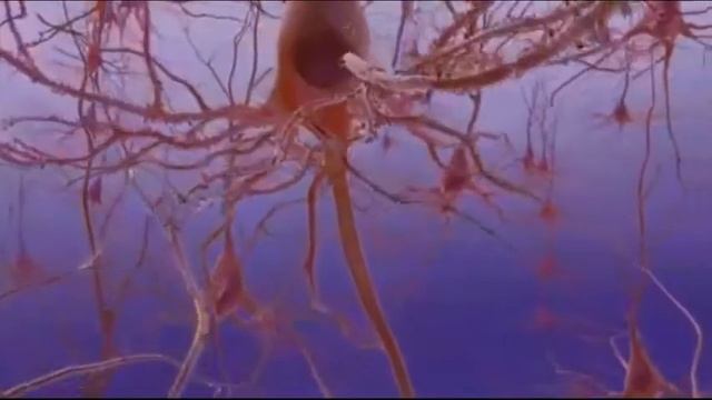 Воздействие слов на организм человека смотреть онлайн