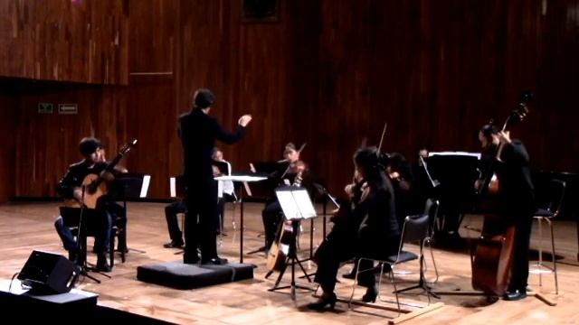 Retratos Catalanes/ Leo Brouwer (Fragmento) смотреть онлайн