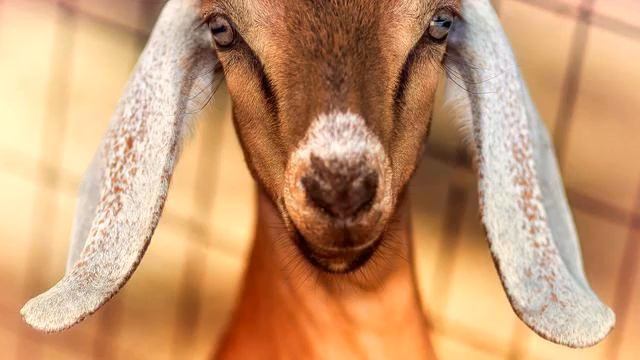 Музыка от депрессии. Просто хит! Слушать! смотреть онлайн