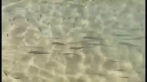 Armas Green Fugla Beach турция