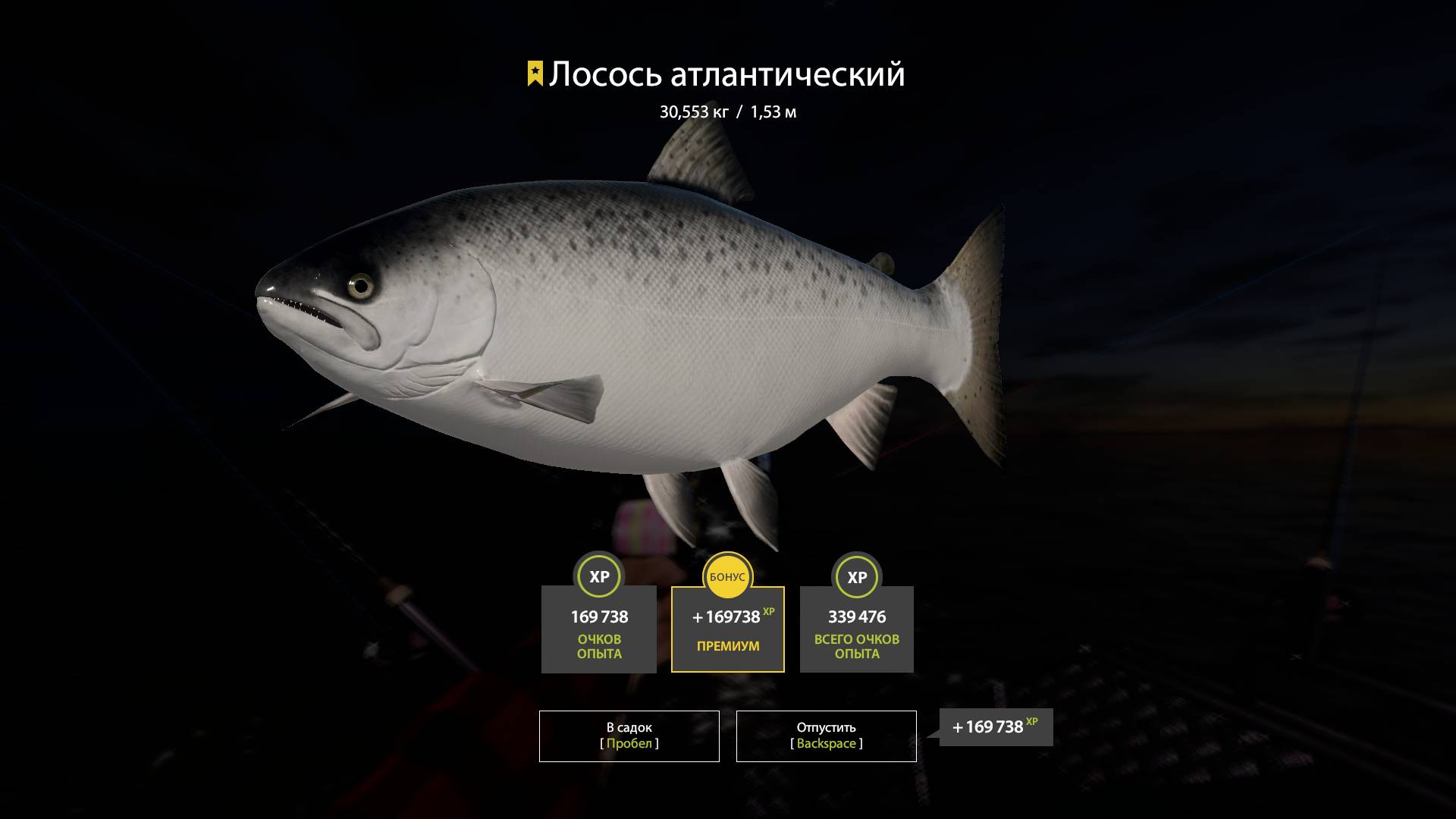 Трофейный Лосось Атлантический смотреть онлайн