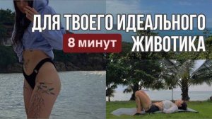 ПЛОСКИЙ ЖИВОТ ЗА 8 МИНУТ ДОМА