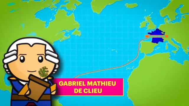 History of Coffee! смотреть онлайн