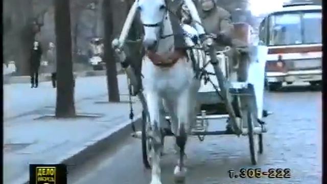 Лошадь Королева ,Харьков , ул Сумская .