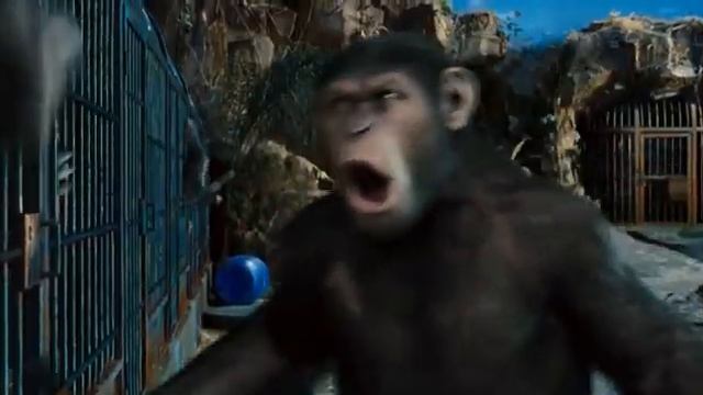 Обезьяны восстали