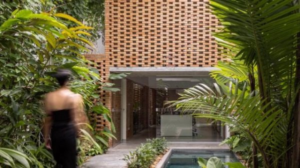 Contemporary office design Surrounded with Green Trees and vines covering the walls